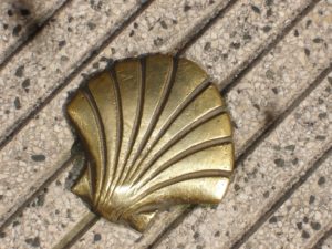 coquille saint jacques