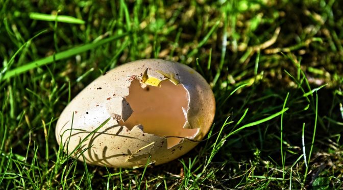 Le symbole de l’œuf, du chaos à l’organisation